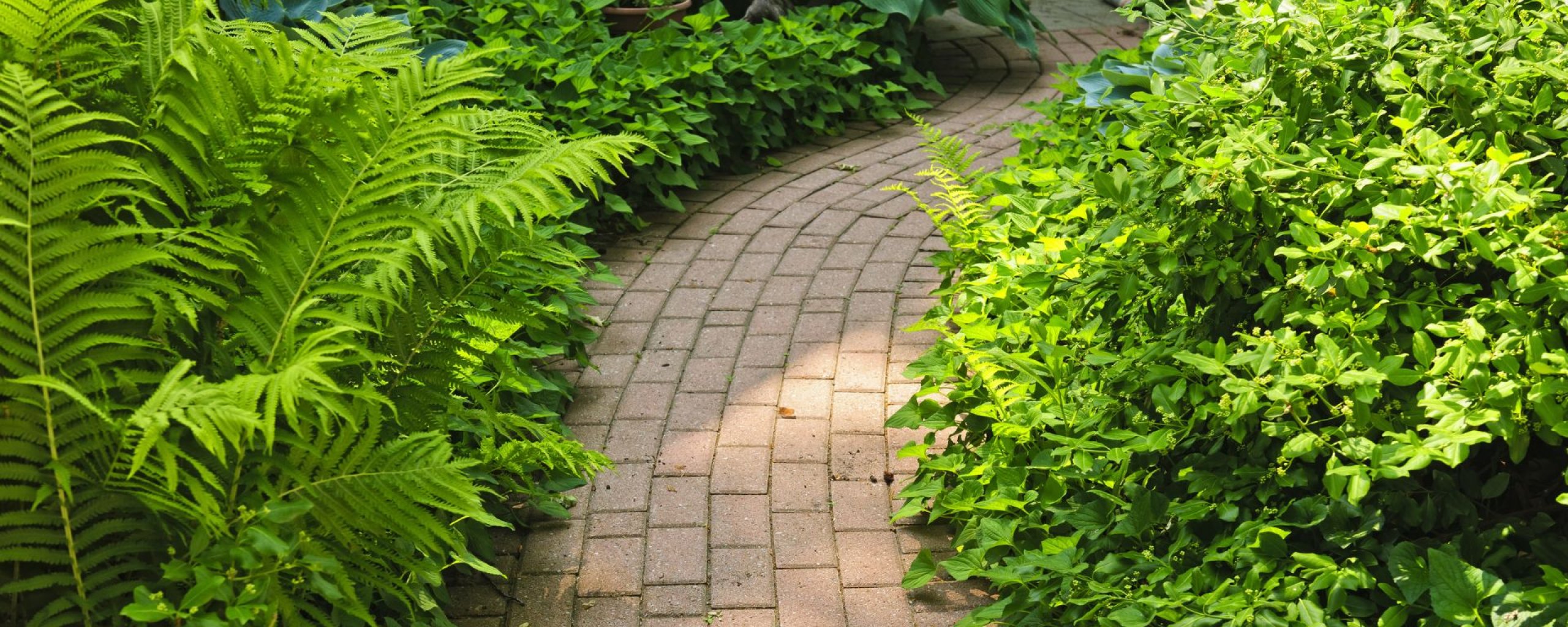 Tegels vervangen door planten