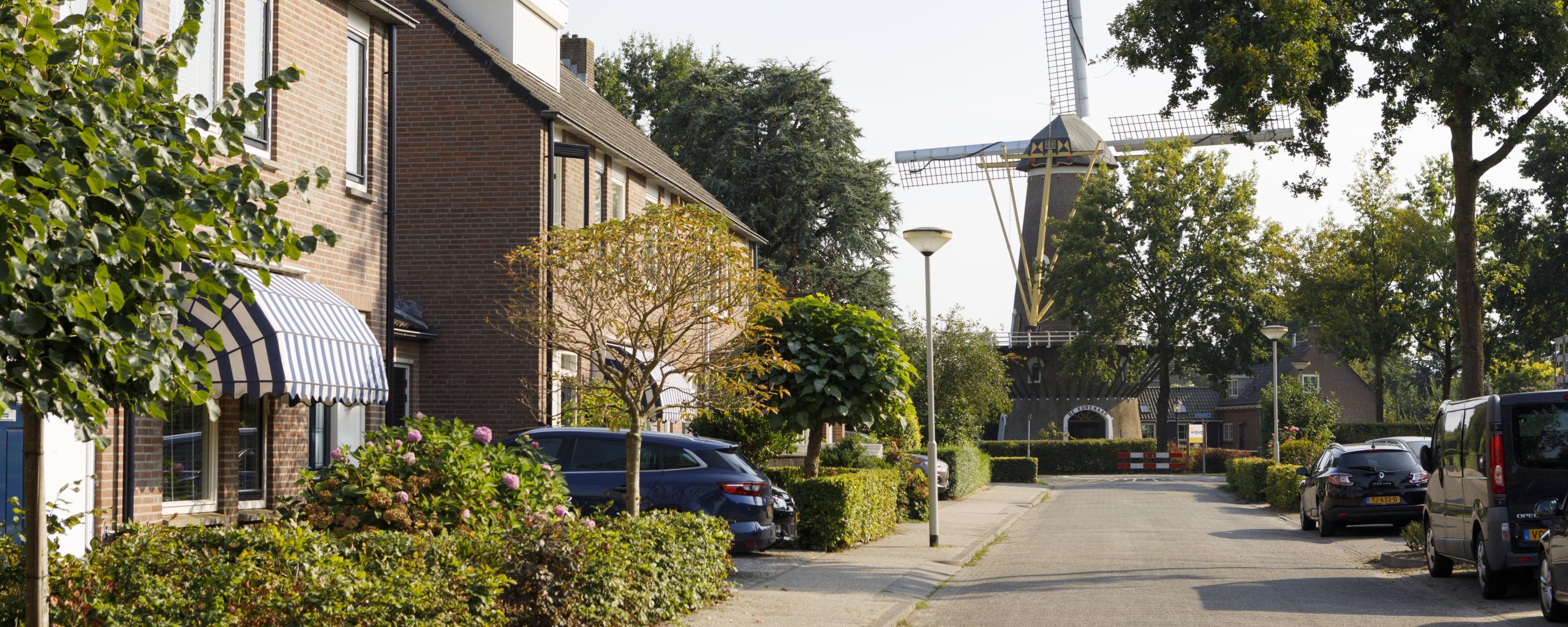 huizen met een mooie molen op de achtergrond