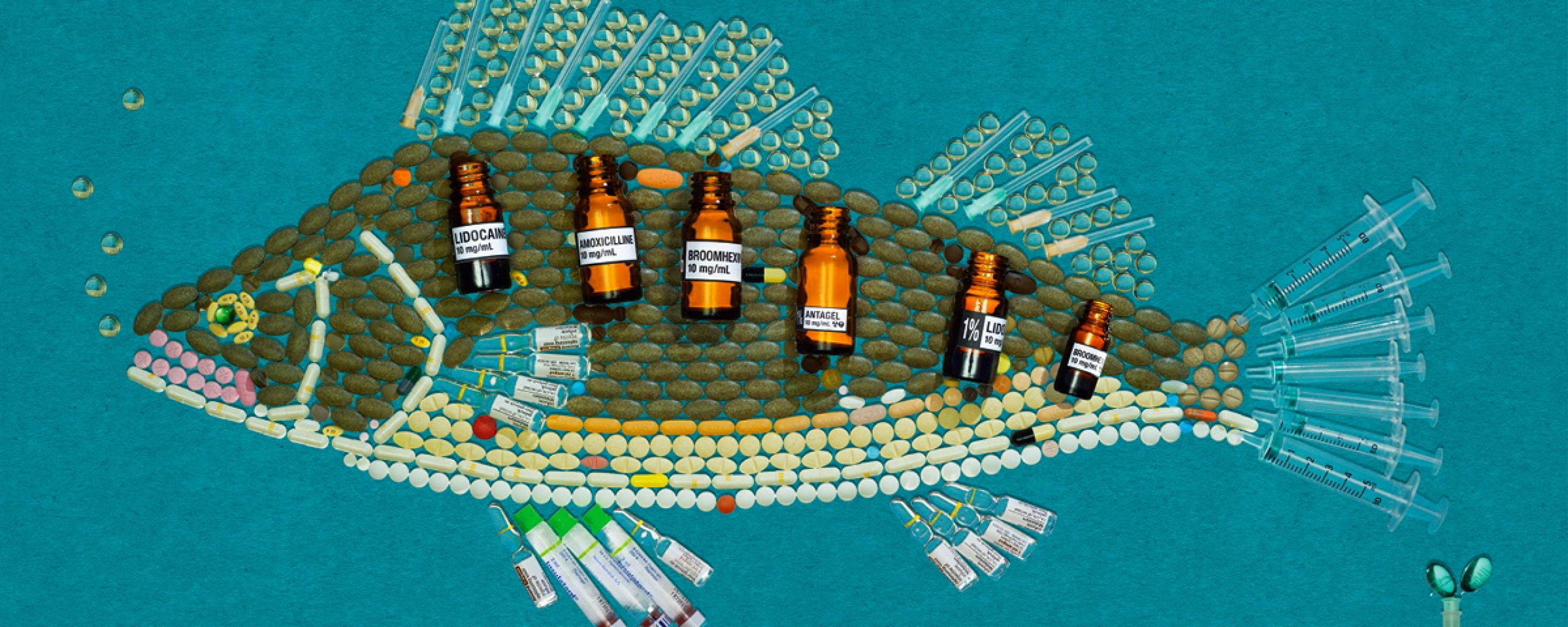 Een vis gemaakt van restmedicijnen uit gevonden uit het water