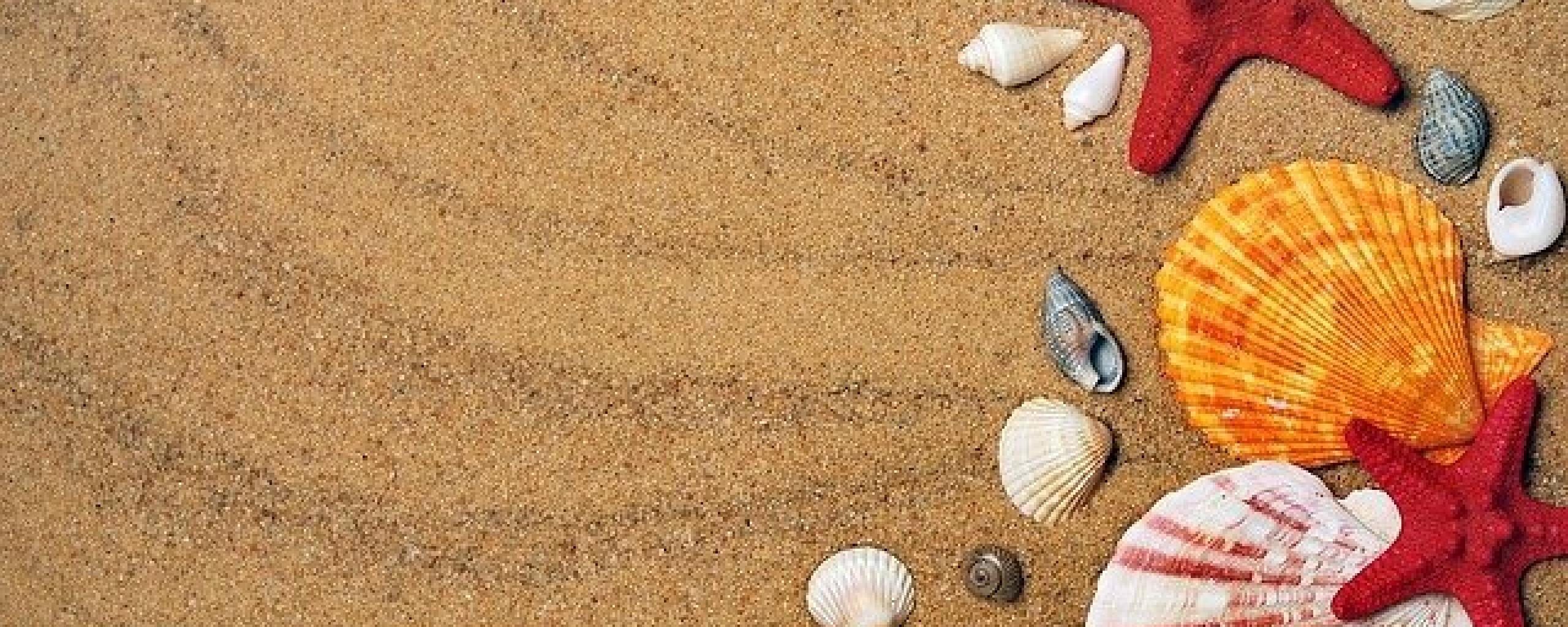 Strand met schelpjes en Zeesterren