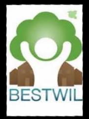 Logo BestWil Stille Wille